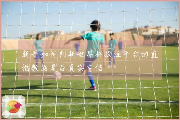 新手如何判断世界杯投注平台的直播数据是否真实可信