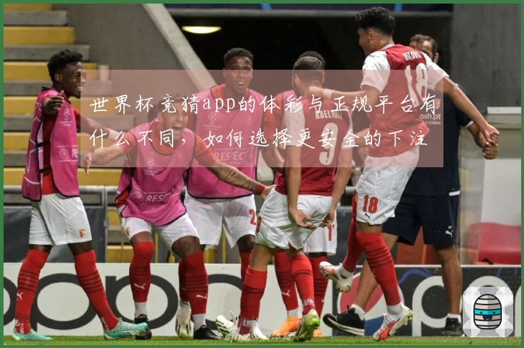 世界杯竞猜app的体彩与正规平台有什么不同,如何选择更安全的下注方式?