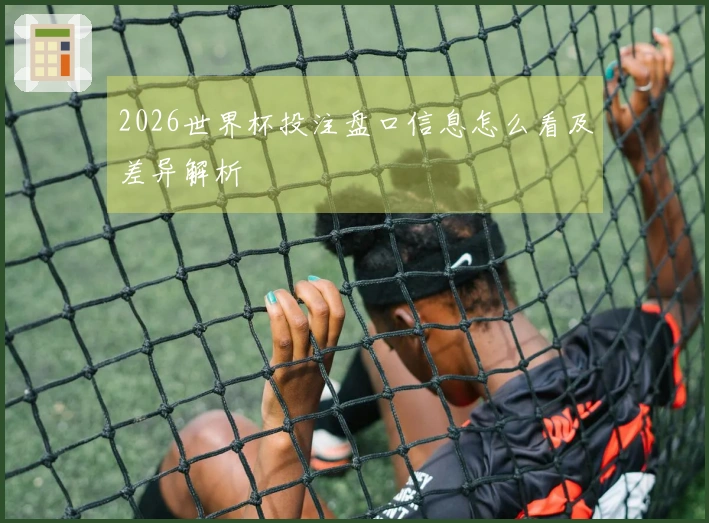 2026世界杯投注盘口信息怎么看及差异解析