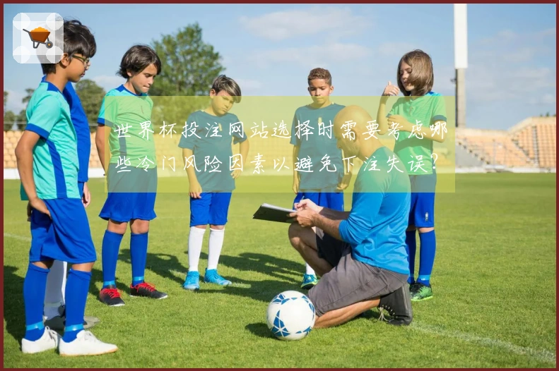 世界杯投注网站选择时需要考虑哪些冷门风险因素以避免下注失误？