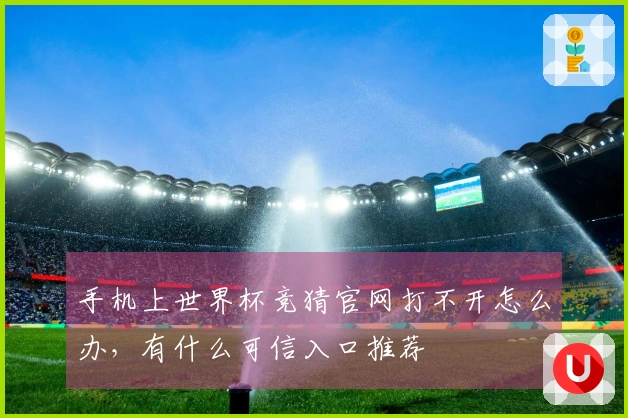 手机上世界杯竞猜官网打不开怎么办,有什么可信入口推荐