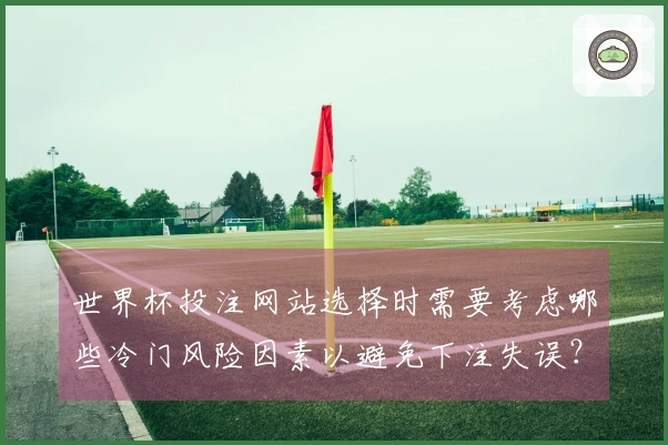 世界杯投注网站选择时需要考虑哪些冷门风险因素以避免下注失误？