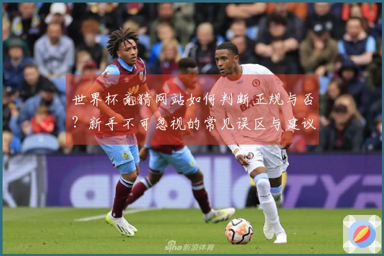 世界杯竞猜网站如何判断正规与否？新手不可忽视的常见误区与建议